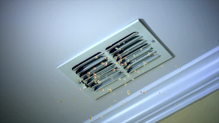 Best Best Air Duct Cleaning Company  in Bolivar, TN
